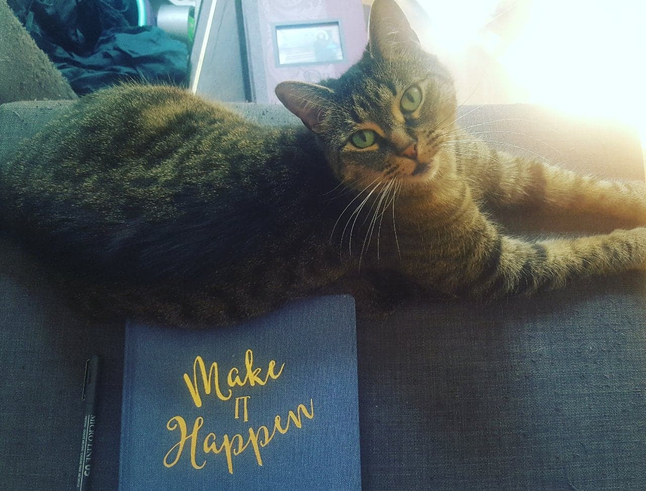 A brown tabby cat with green eyes sitting and staring at the camera beside a book that says "Make it Happen" on it